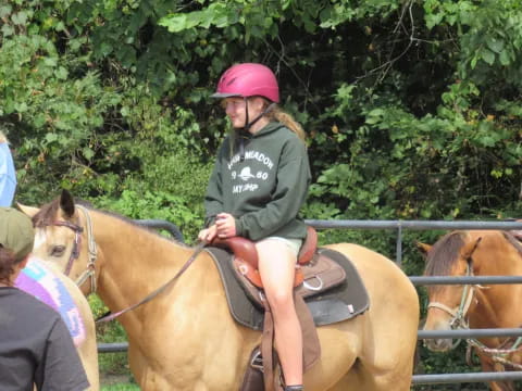 a person riding a horse