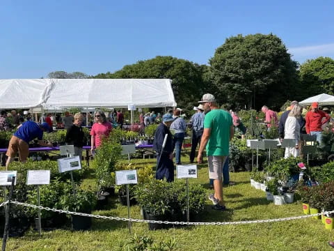 a group of people at a garden