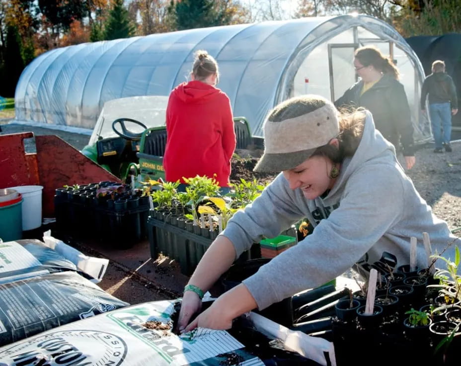 a person working at a table