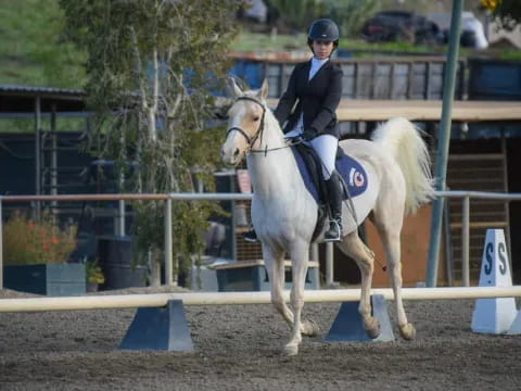 a person riding a horse