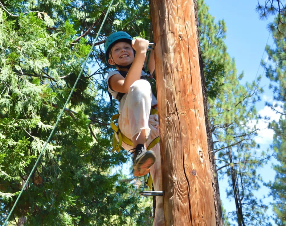 a boy climbing a tree