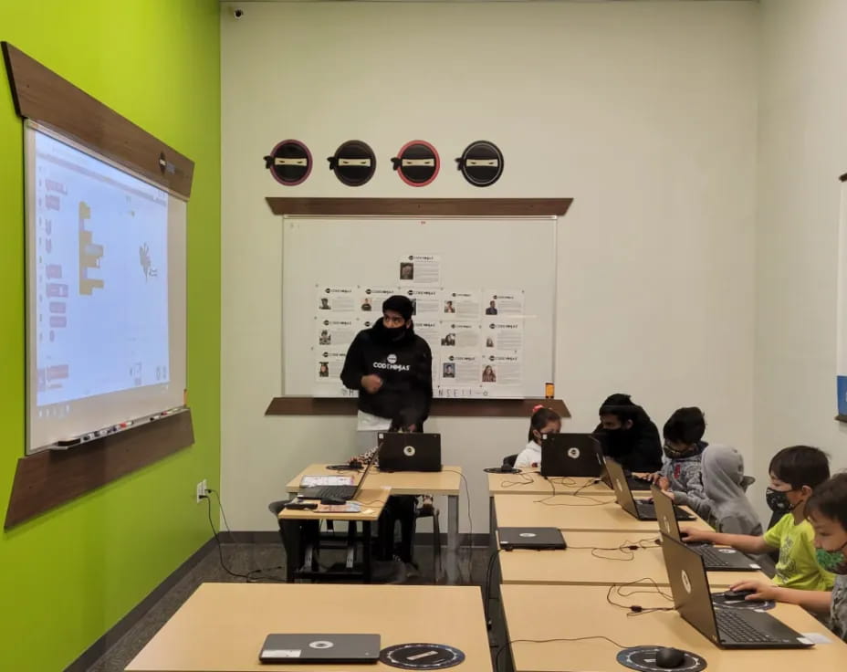 a person giving a presentation