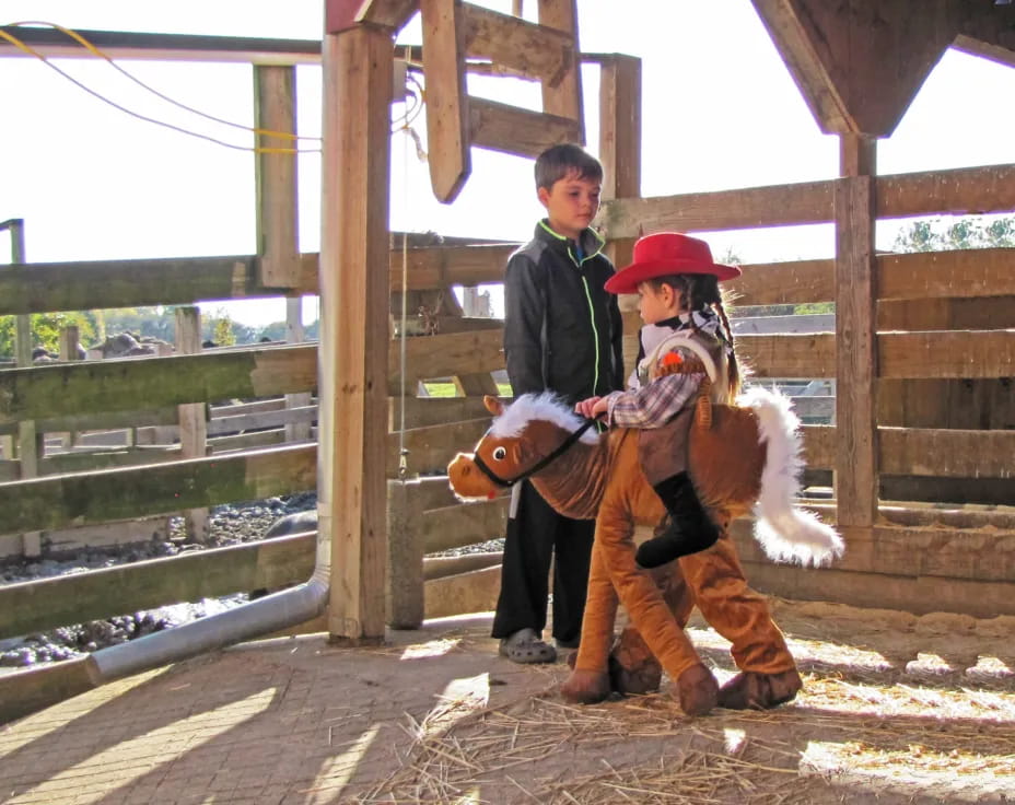 a man and a woman holding a dog