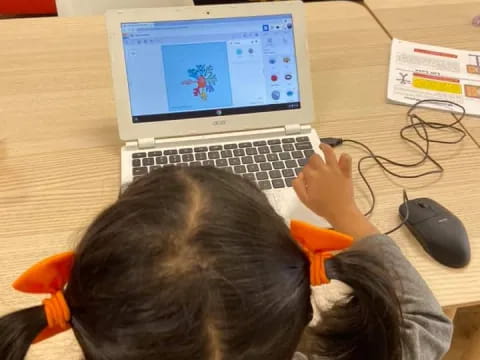 a person using a laptop