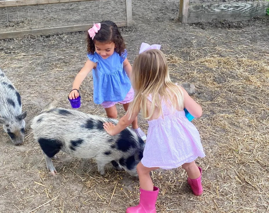 two girls petting a couple of sheep