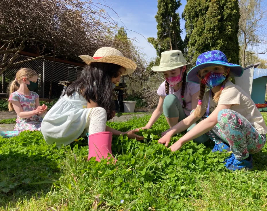 a group of children planting plants