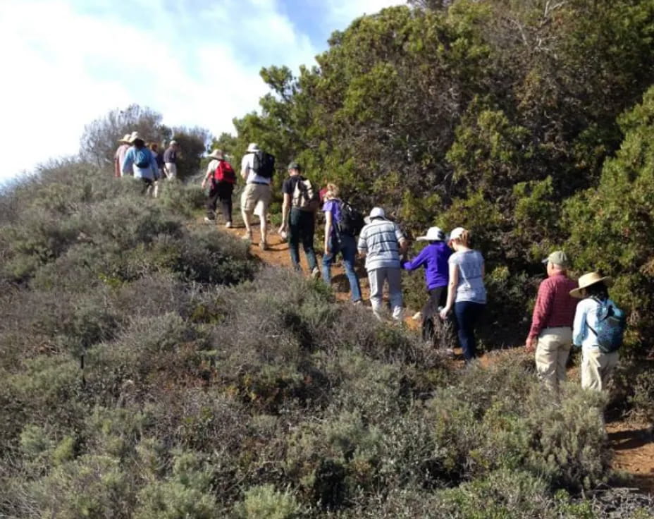 a group of people hiking