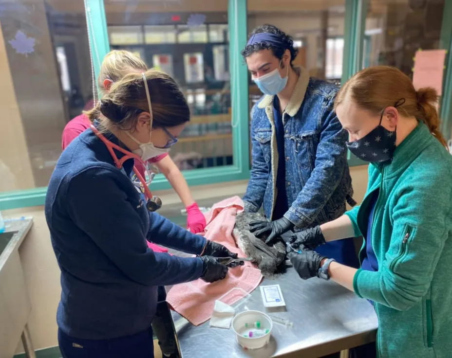 a group of people wearing masks