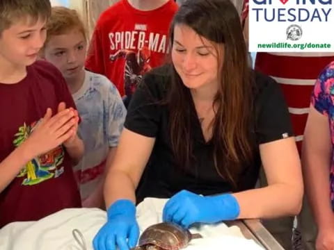 a person in a black shirt