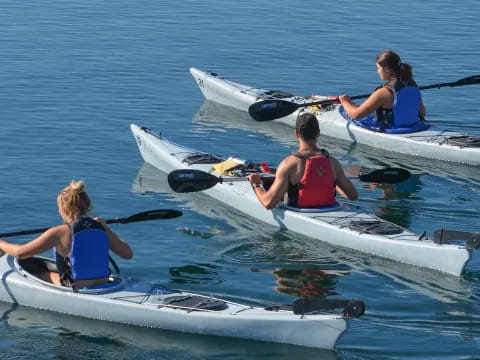 a group of people in kayaks