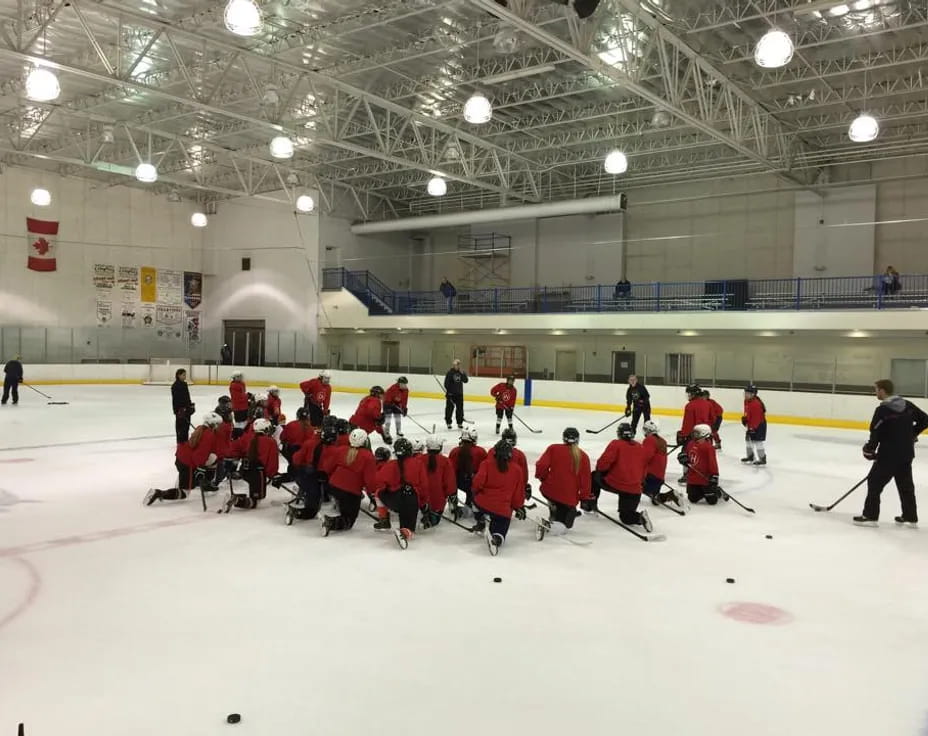a group of people on an ice rink