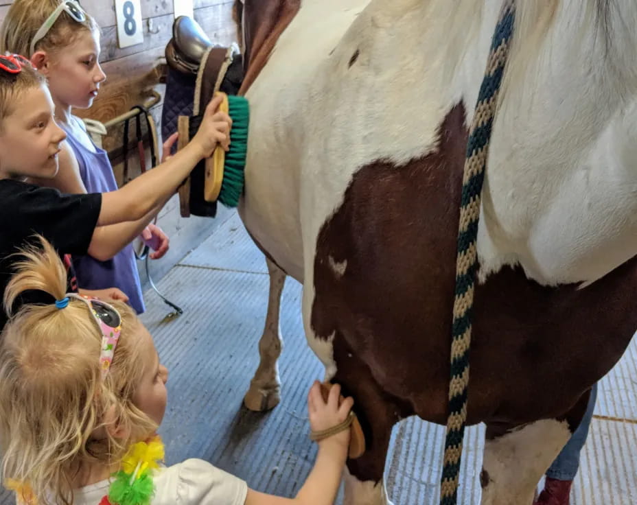 a group of girls petting a horse