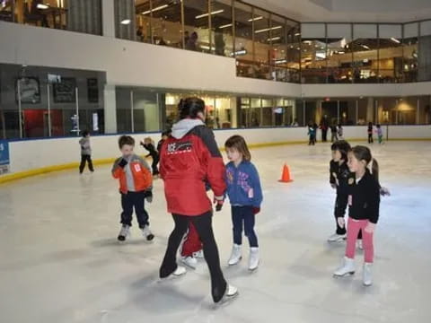 a group of people ice skating