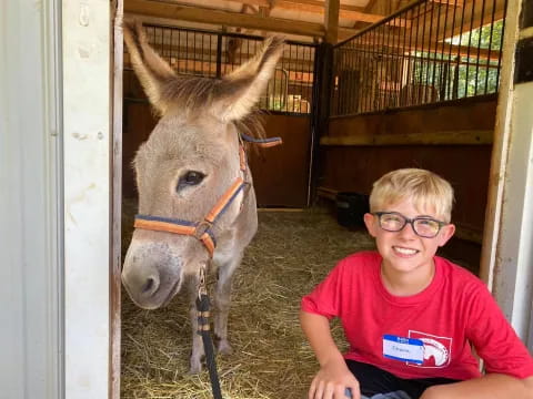 a boy sitting next to a donkey