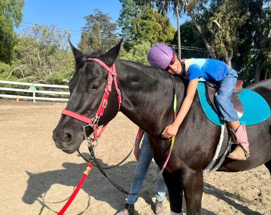 a person riding a horse