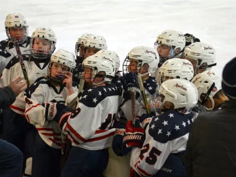 a group of hockey players