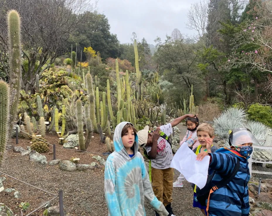 a group of people taking pictures