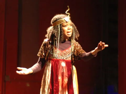 a woman wearing a garment