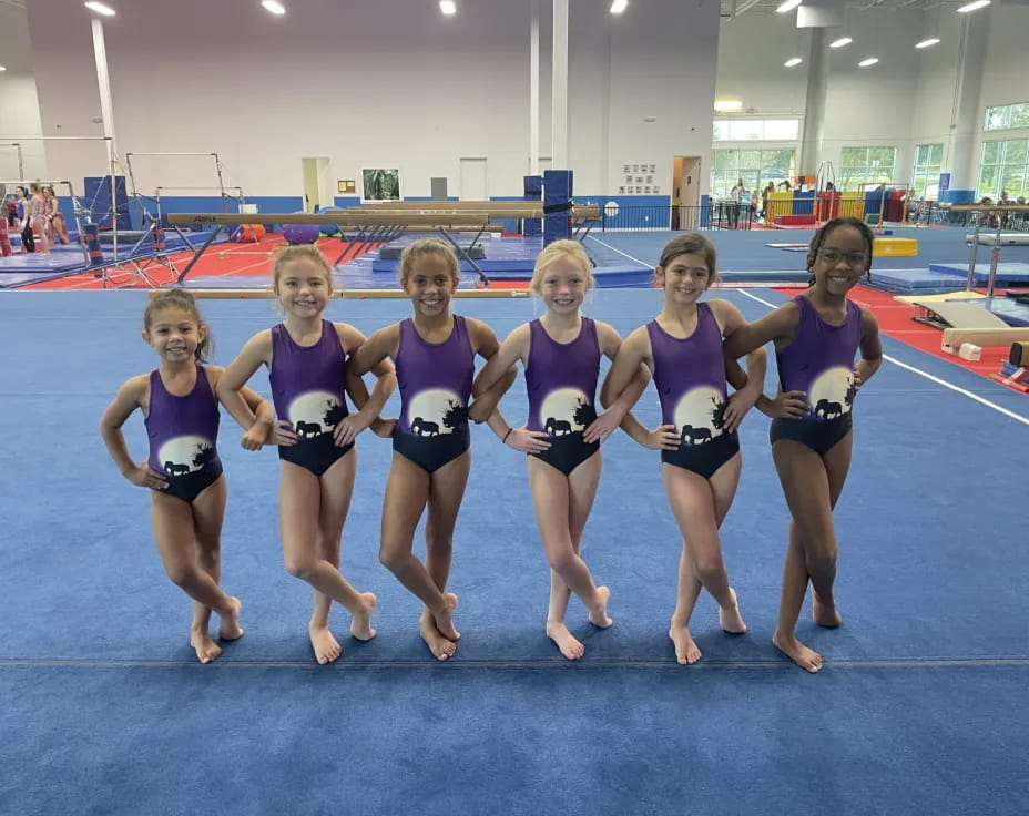 a group of girls in leotards posing for a photo