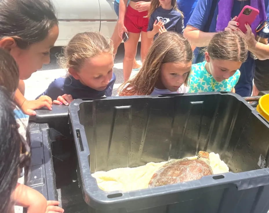 a group of kids looking at pizza