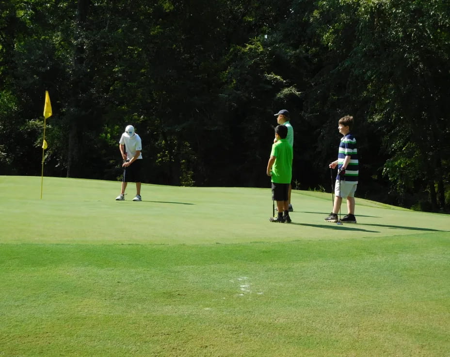 a group of people playing golf