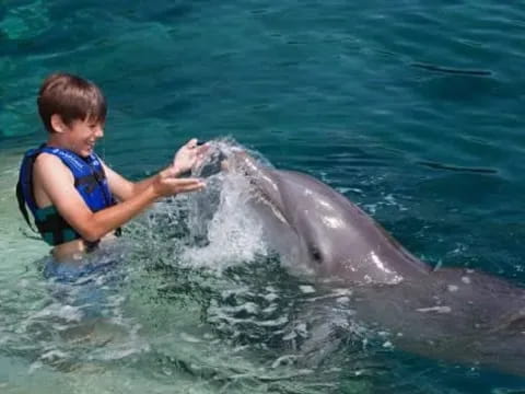 a boy in the water with a dolphin