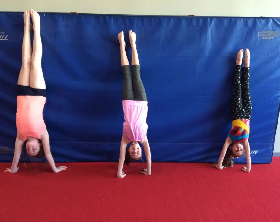 a group of people doing yoga
