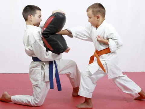 two boys in karate uniforms