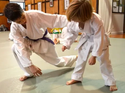 a couple of kids in karate uniforms