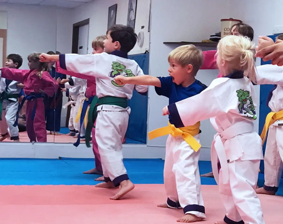 a group of children in karate uniforms