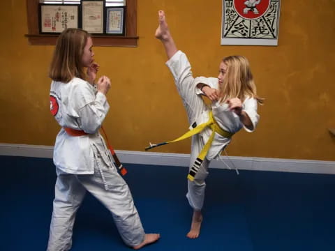 a couple of women in karate uniforms
