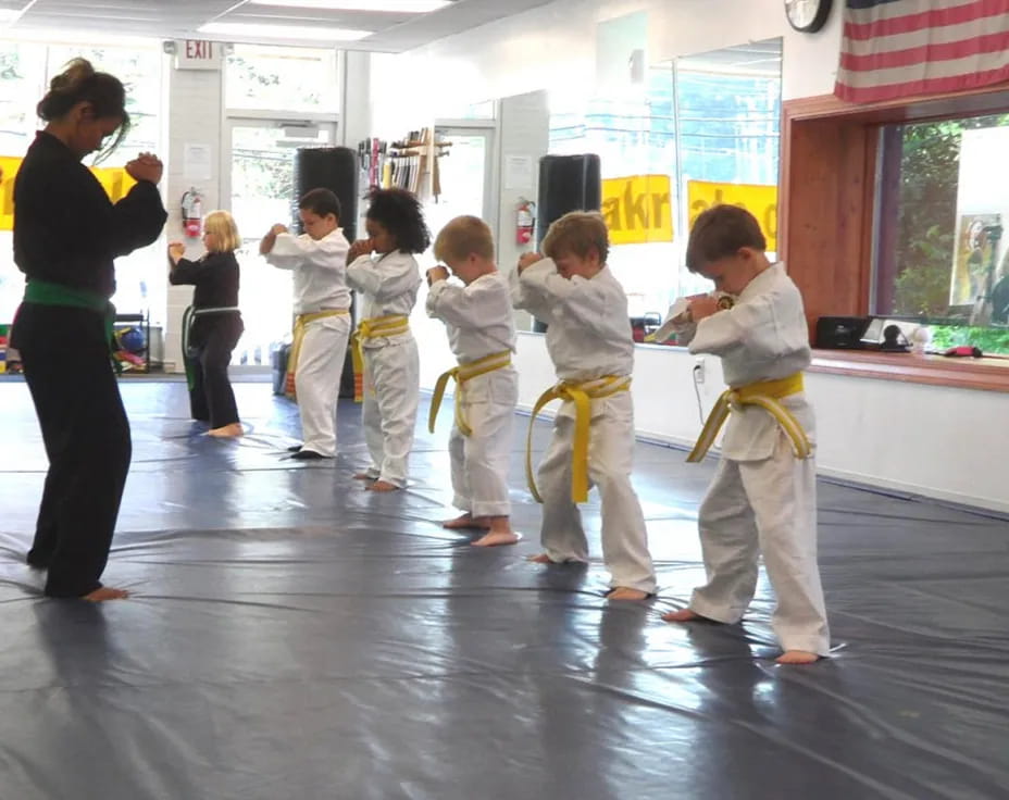a group of kids in karate uniforms