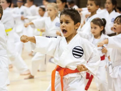a boy in a karate uniform