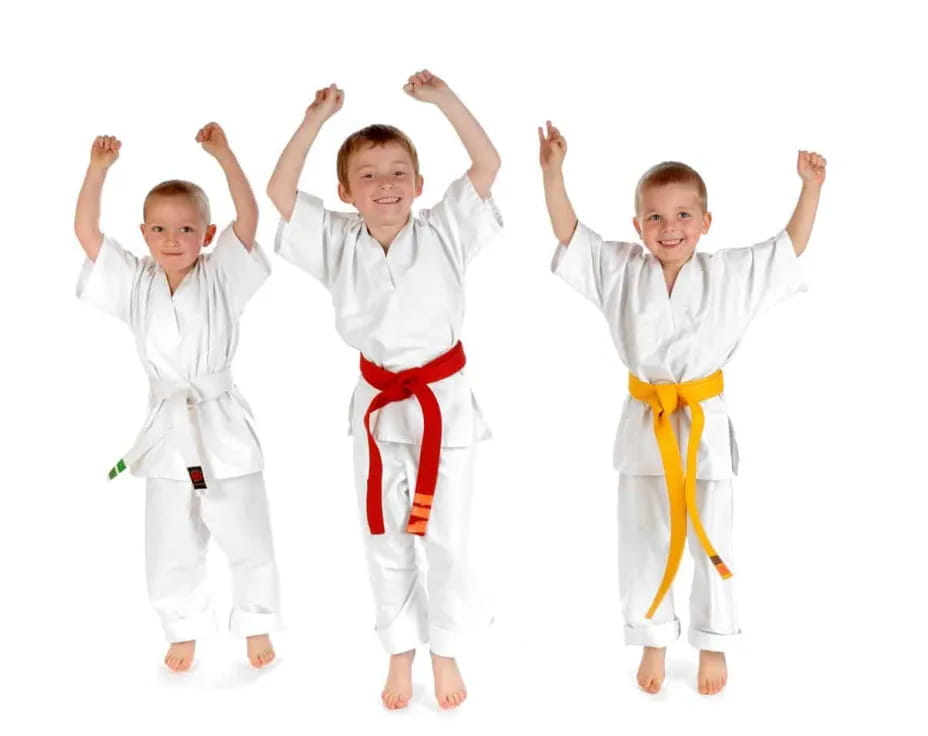 a group of boys in karate uniforms