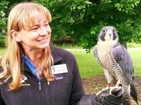 a person holding a bird