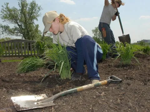 a few people working in a garden