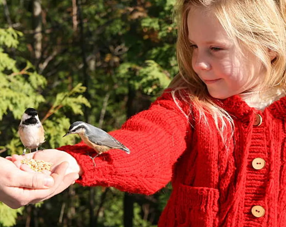a person holding a bird