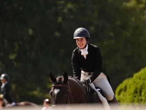 a person riding a horse