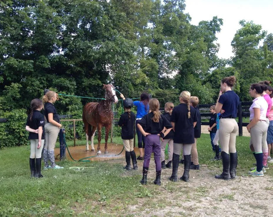 a group of people standing around a horse