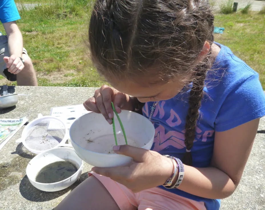 a woman sitting at a table