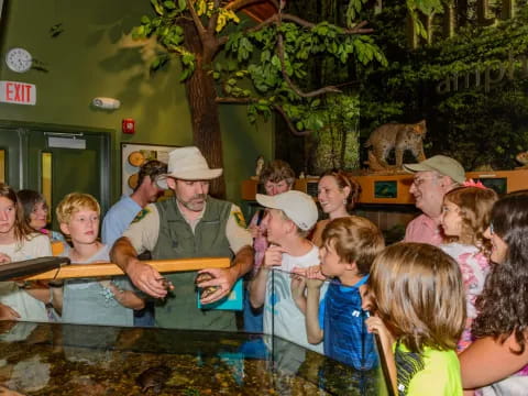 a group of people in a pool