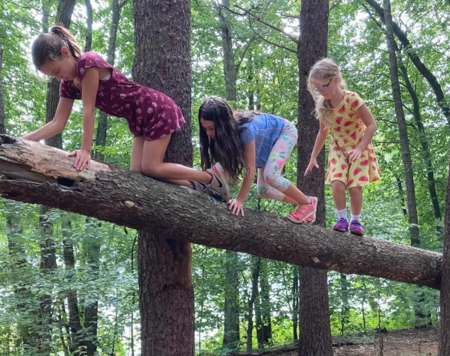 a group of girls climbing a tree