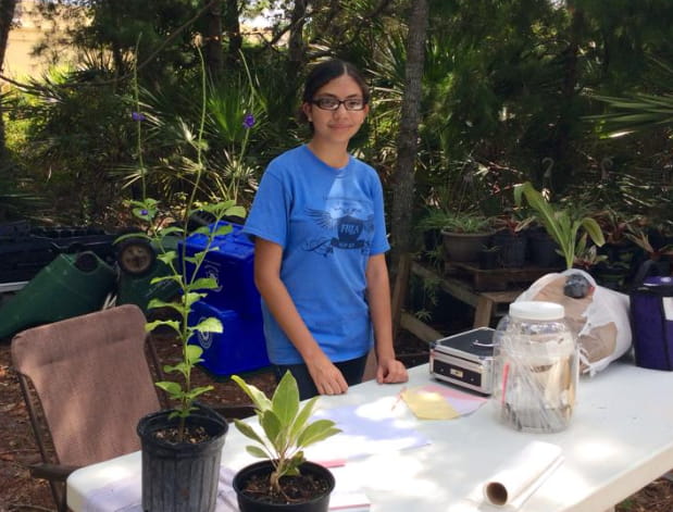 a person sitting at a table