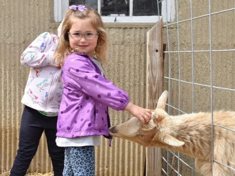 a girl petting a goat