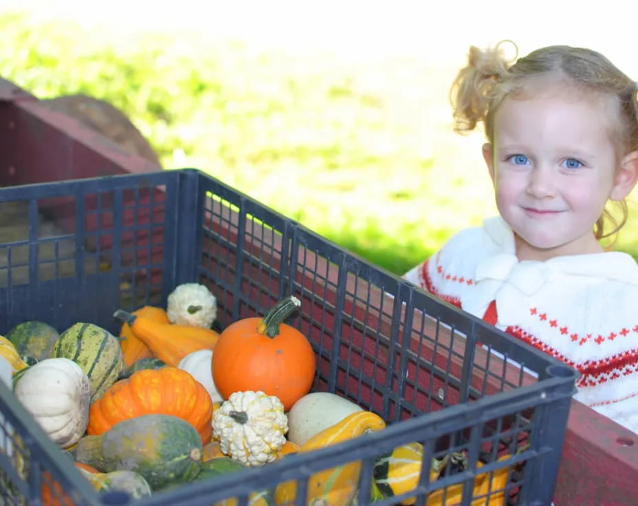 a girl in a wagon full of pumpkins