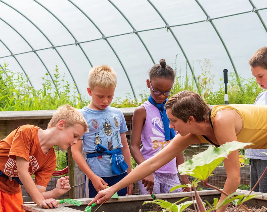 a group of people looking at plants