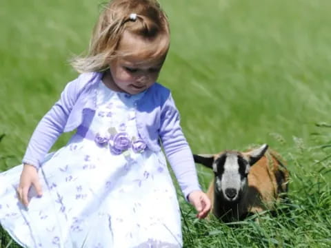 a girl petting a dog