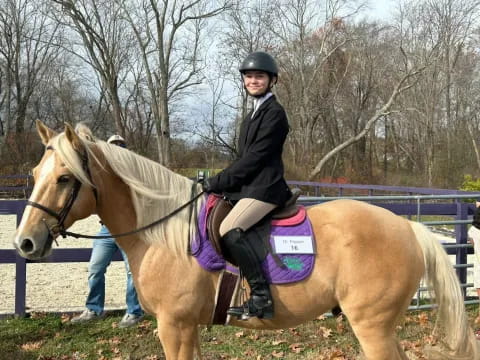 a person riding a horse
