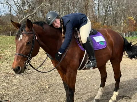 a person riding a horse