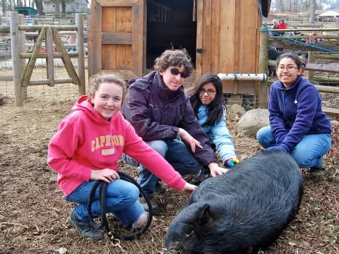 a group of people sitting on a pig in a pen